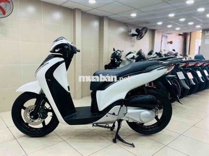 SHVN125 MẪU Ý 2011 BSTP - BAO GÓP NỢ XẤU