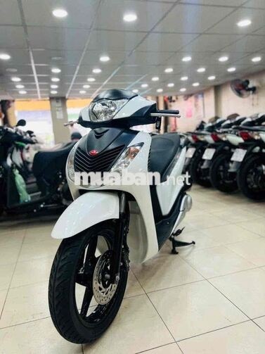 SHVN125 MẪU Ý 2011 BSTP - BAO GÓP NỢ XẤU