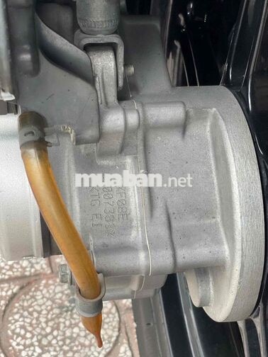 SHVN150 MẪU Ý 2010 đk 2011 BAO TÊN - BAO GÓP NX