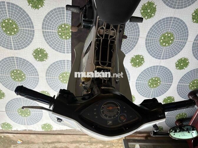 Honda Wave Alpha 110 Trắng