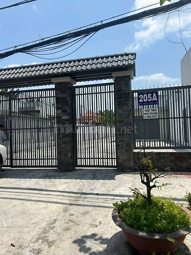 Đất 1000m mặt tiền 11m có 500m thổ cư,nhà cấp bốn 250m