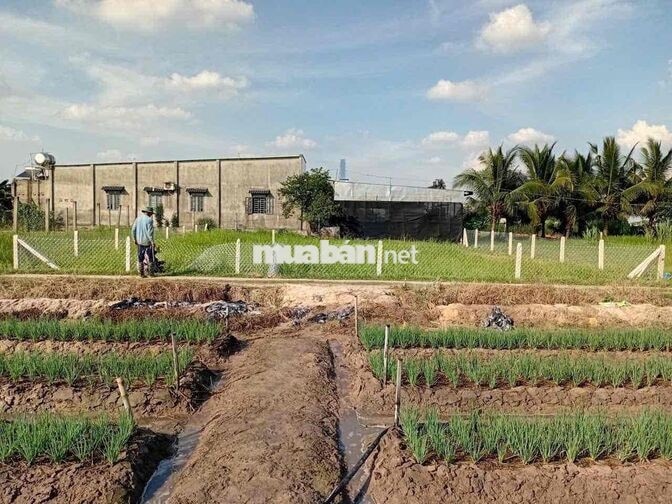E chính chủ  bán gấp trả  nợ NH