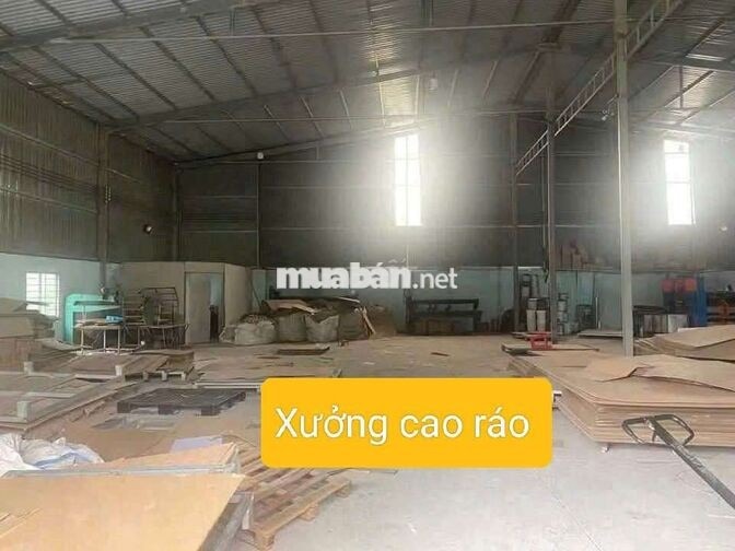 Cho thuê xưởng Tân Phước Khánh 800 tr/ 25 triệu 