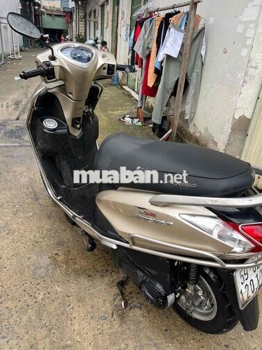 YAMAHA ACRUZO 2016 VÀNG CÁT