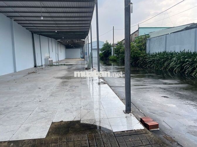 Cho thuê MB + Kho, 10 x 60m, LHP giá 30tr/ tháng