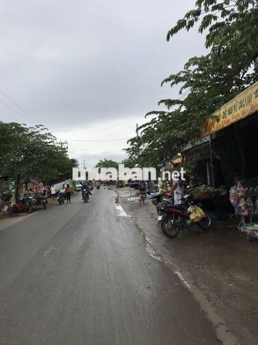 Cô Tư Bị Người Nhà Ăn Hiếp ,Đành Bán Căn Này Để Đi Nơi Khác Sống