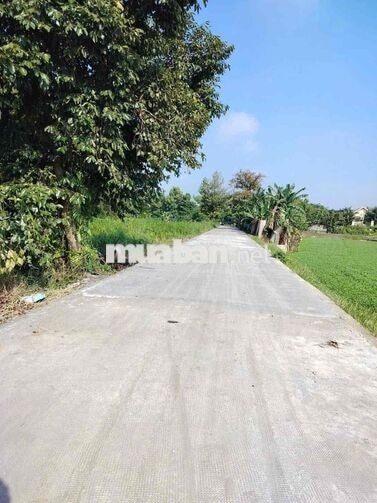 Rẻ nhất khu vực  Nhị Bình -- Hóc Môn  CG  Cần bán lô đất thổ vườn khu