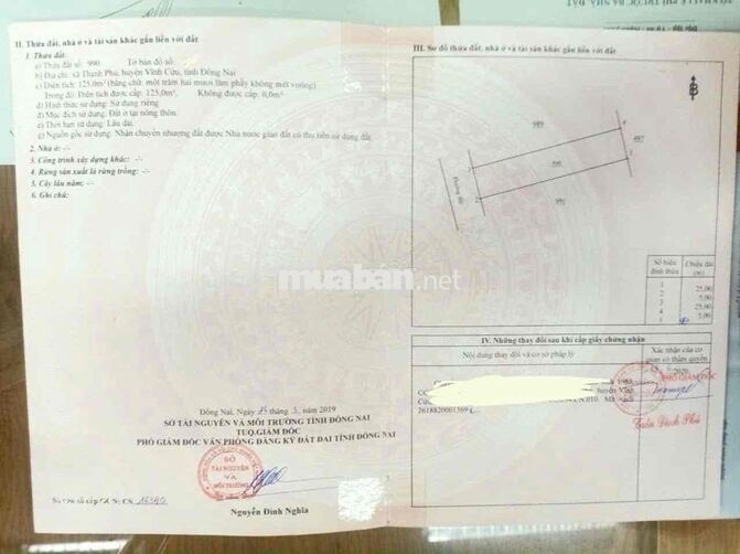 Bán lô đất 5x25 đường Trục 16 sổ riêng full thổ cư giá rẻ