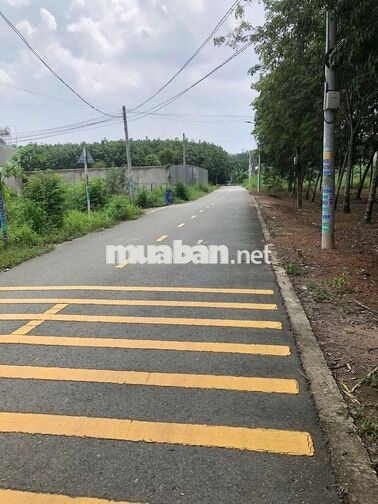 💥 CHÍNH CHỦ CẦN BÁN GẤP - GIẢM HƠN 100 TRIỆU - ĐẤT HÒA LỢI 5x21m 💥
