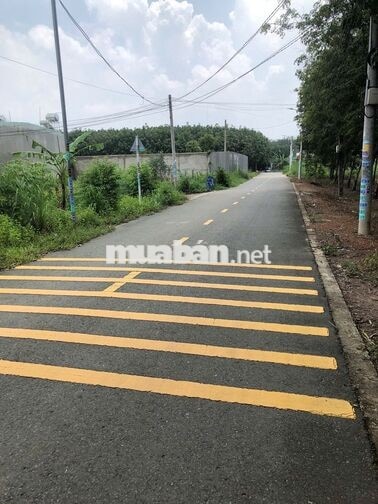 💥 CHÍNH CHỦ CẦN BÁN GẤP - GIẢM HƠN 100 TRIỆU - ĐẤT HÒA LỢI 5x21m 💥