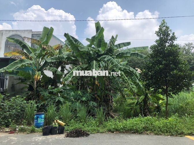 💥 CHÍNH CHỦ CẦN BÁN GẤP - GIẢM HƠN 100 TRIỆU - ĐẤT HÒA LỢI 5x21m 💥