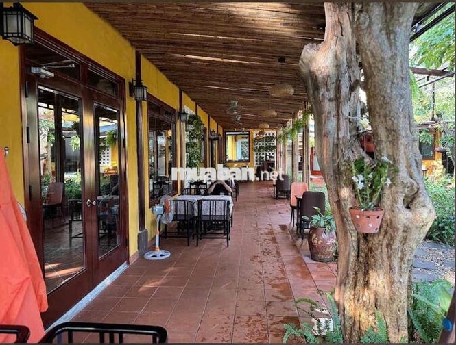 Cho thuê nhà mặt tiền có sân vườn ở quận Hải Châu, vị trí đẹp, gần cầu