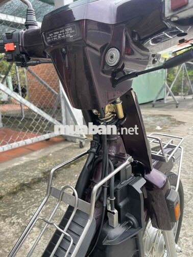 Honda Super Dream màu Tím