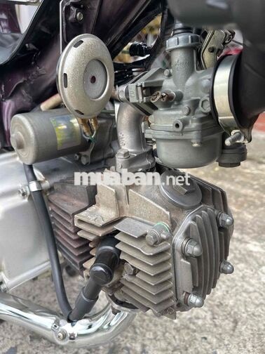 Honda Super Dream màu Tím
