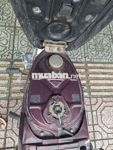 Honda Citi thùng màu nho