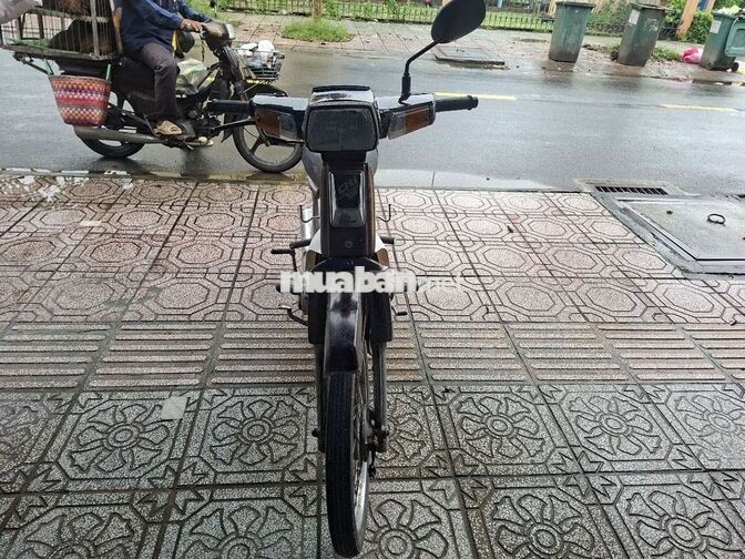 Honda Citi thùng màu nho