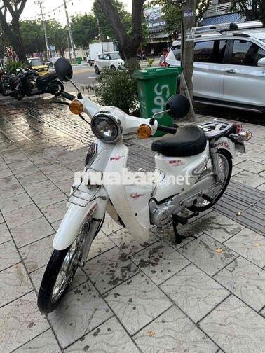 Honda Cup 2023 50cc Trắng