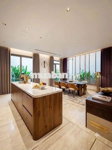 Cho thuê biệt thự mini HXH 212/6A Trần Quý Khoách, P.Tân Định, Quận 1 