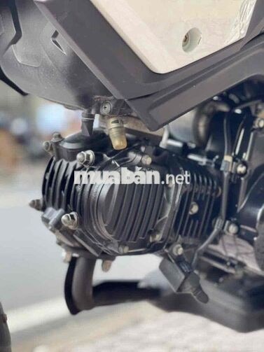 MSX125 2019 BSTP - XE SIÊU ĐẸP - BAO GÓP NX