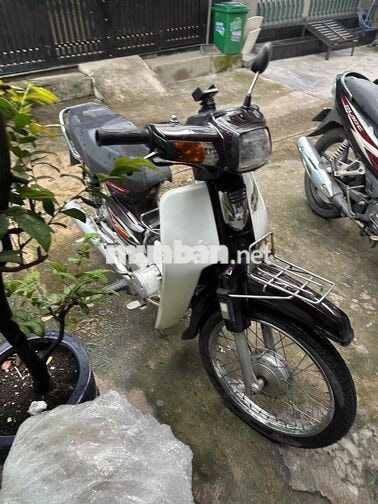 Honda Dream màu Nâu
