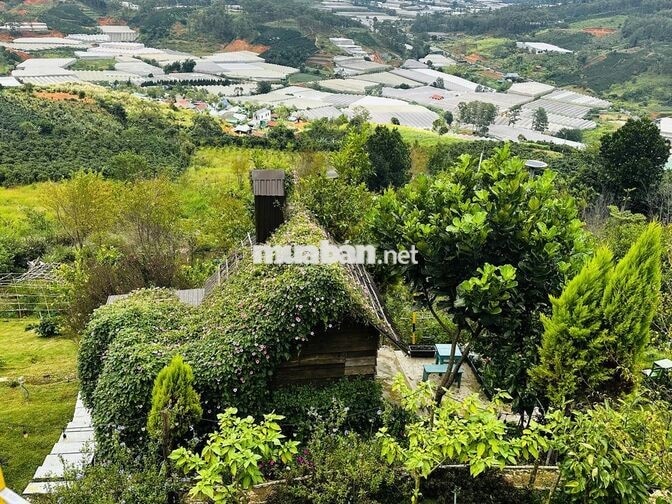 Cc cần bán đất Hoà Tiến Đà Nẵng