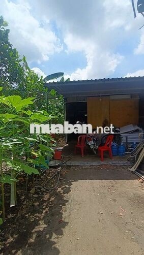 Nhà vườn 8*25 có Nhà Đường Kênh Trung ương Vĩnh Lộc B  Binh chánh