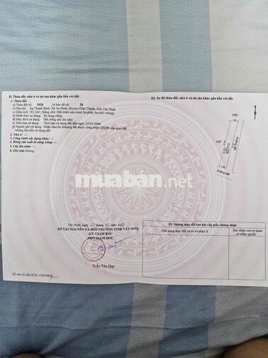 Đất ngộp giá rẻ An Bình, Châu Thành, lô gốc,5*33
