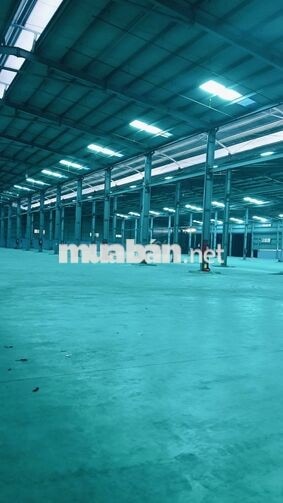 cho thuê kho xưởng đường 835 huyện bến lức  giáp binh chánh 