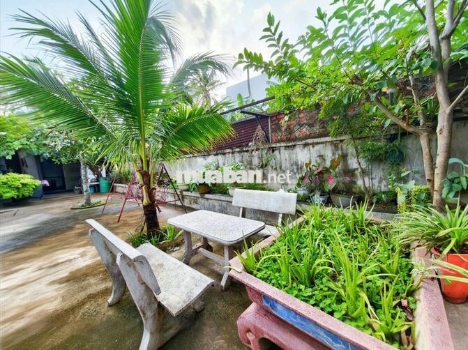 Bán nhà MT 1553 Quang Trung An Khê: 317m² nở hậu, tiện KD, sổ hồng sẵn