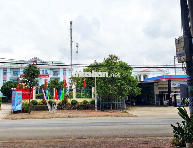 Bán nhà MT 1553 Quang Trung An Khê: 317m² nở hậu, tiện KD, sổ hồng sẵn