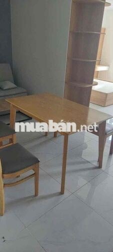 cho thuê 1pn đầy đủ nội thất Tại Phú Mỹ tp mới bình dương