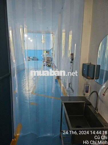Cần tiền bán lỗ  xưởng thực phẩm ( Kế bên UNND Bình Mỹ cũ)