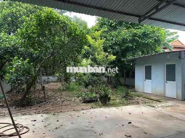 Cho Thuê MBKd Trục chính phú mỹ gần trung tâm thành phố mới