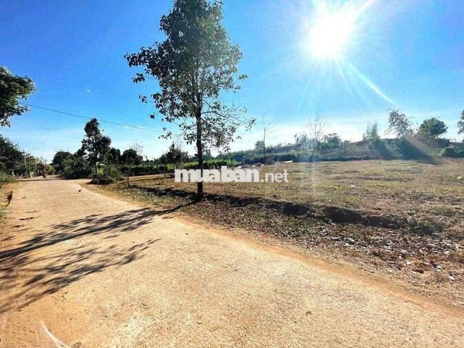 Tôi chính chủ cần bán lô đất tại Pleiku Gia Lai