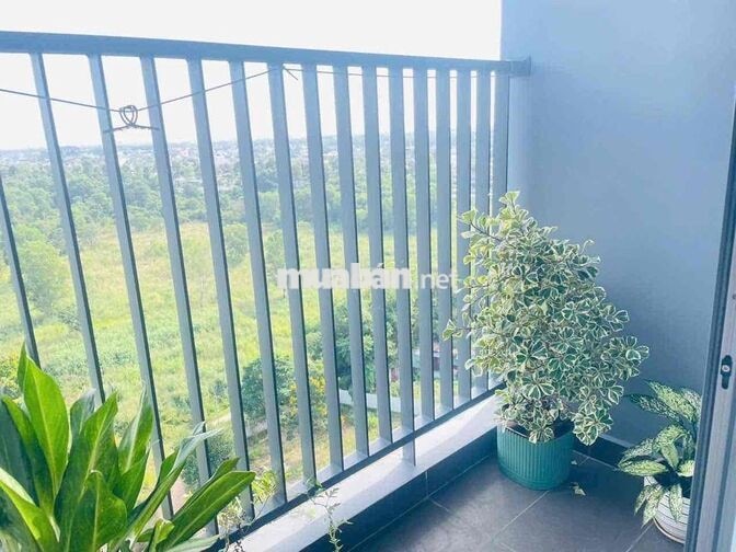 CHO THUÊ 2PN full nt TẠI PHÚ MỸ, THỦ DẦU 1, Bình Dương