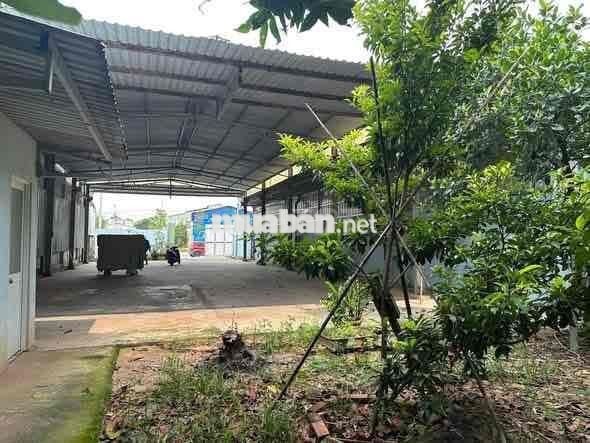 Cho Thuê MBKd Trục chính phú mỹ gần trung tâm thành phố mới