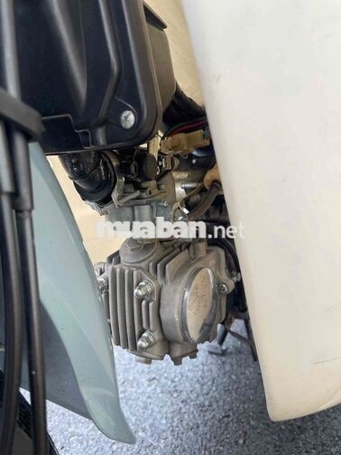 Honda Cub 50 2023 Xám trắng