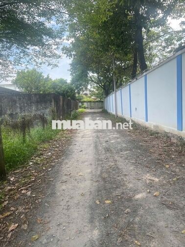 Siêu phẩm đường Can Trường xã Phước Vĩnh An 400m2 full thổ 920tr tl