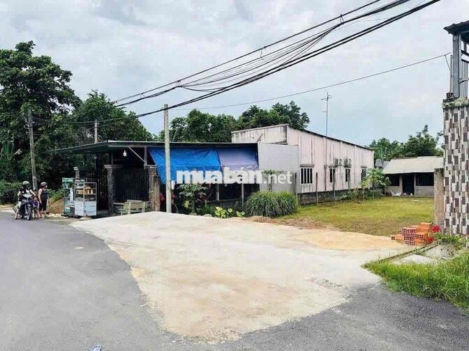 Bán gấp 354m² đất Tân Phú Trung Củ Chi - Thổ cư 340m², đường nhựa, giá