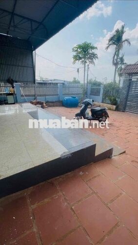 ✅ Cho thuê nhà  nguyên căn hẻm 442 ymoan, đak lak.     .Nhà gồm: 3pn,
