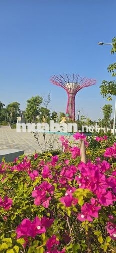 Mở bán Hawee Parkland Cao Thượng, KĐT xanh tại trung tâm Tân Yên