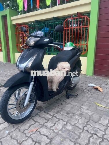 Honda SHVN 2015 màu Đen
