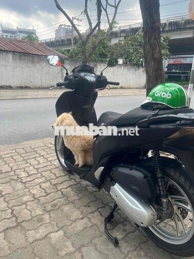 Honda SHVN 2015 màu Đen