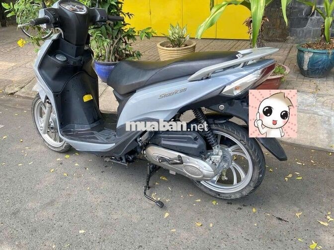 SYM Shark 50cc 2024  bstp 9chủ candy,crea,velia