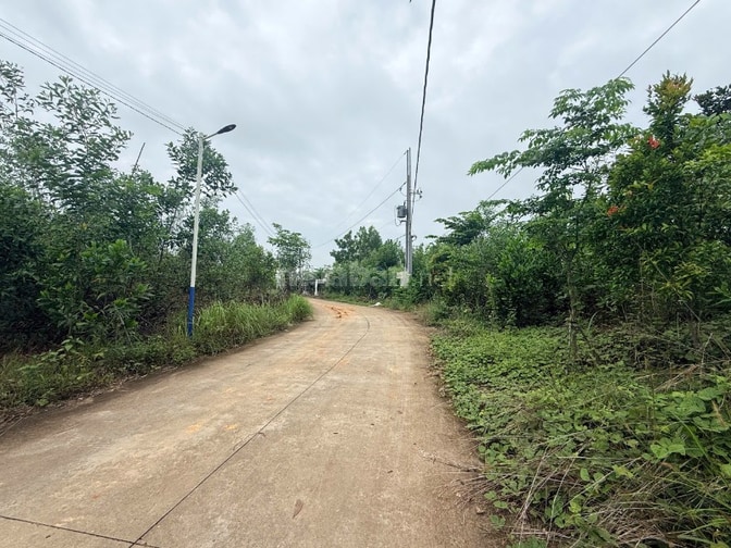 Công ty đấu giá hợp danh Sao Việt 