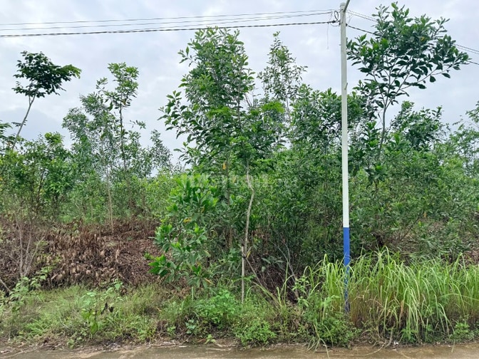 Công ty đấu giá hợp danh Sao Việt 