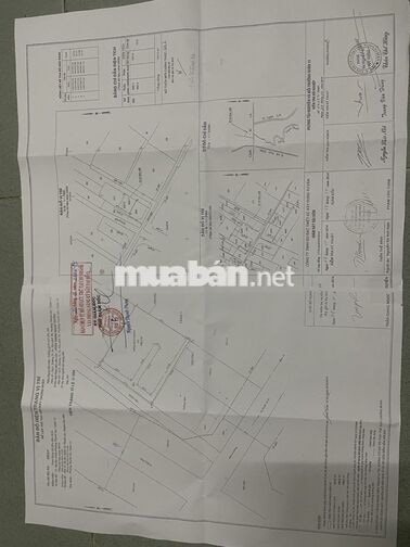 🔥 BÁN NHÀ CẤP 4 ĐẦU TƯ – 247,6M² THẠNH LỘC, Q.12 🔥