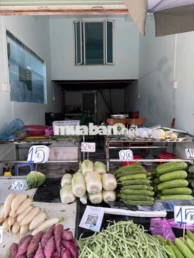 mặt tiền đường kinh doanh tự do 