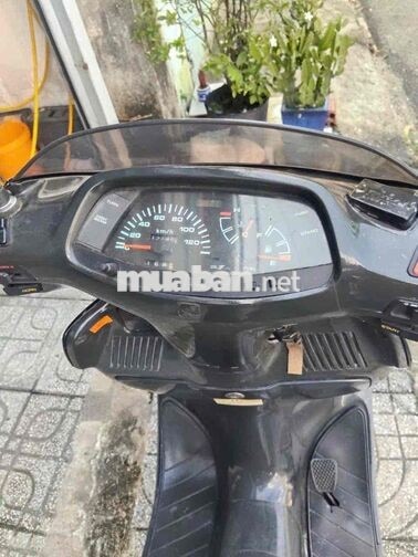 Honda Freeway 250 Đen êm