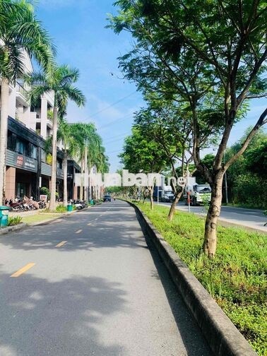 Cho Thuê Shophouse Mặt Tiền Đường Kinh Doanh SD 500M2 Chỉ 43tr